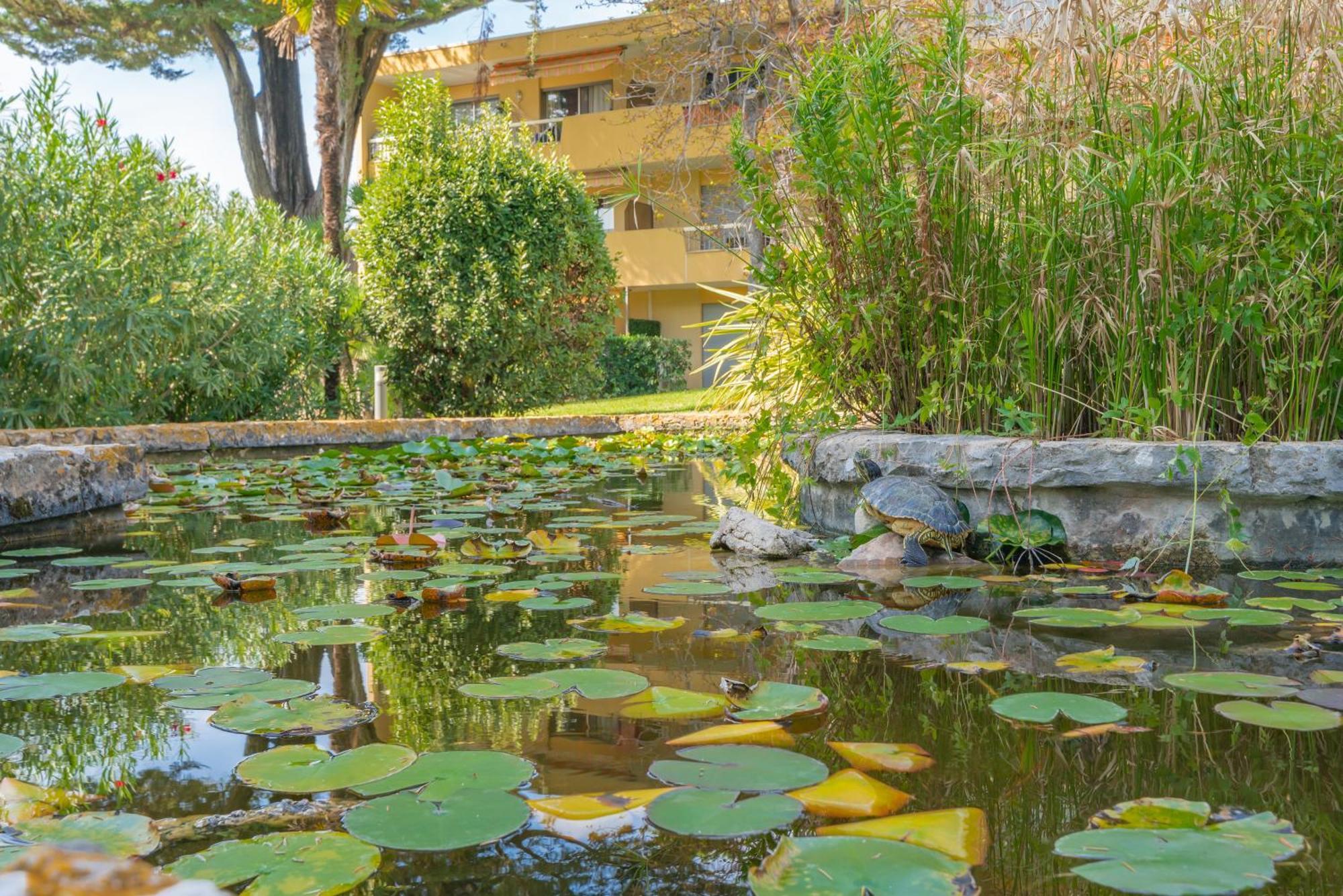 Appartement Les 15 Pins & La -your Getaway Near Sea & Antibes